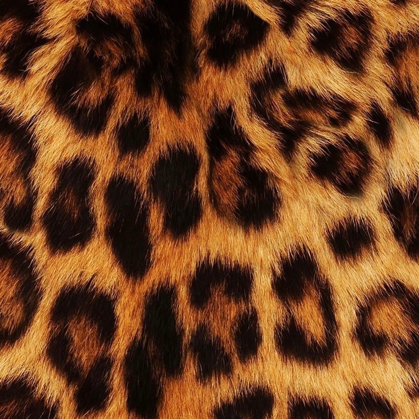 Animal Print Dama - Calzado 365