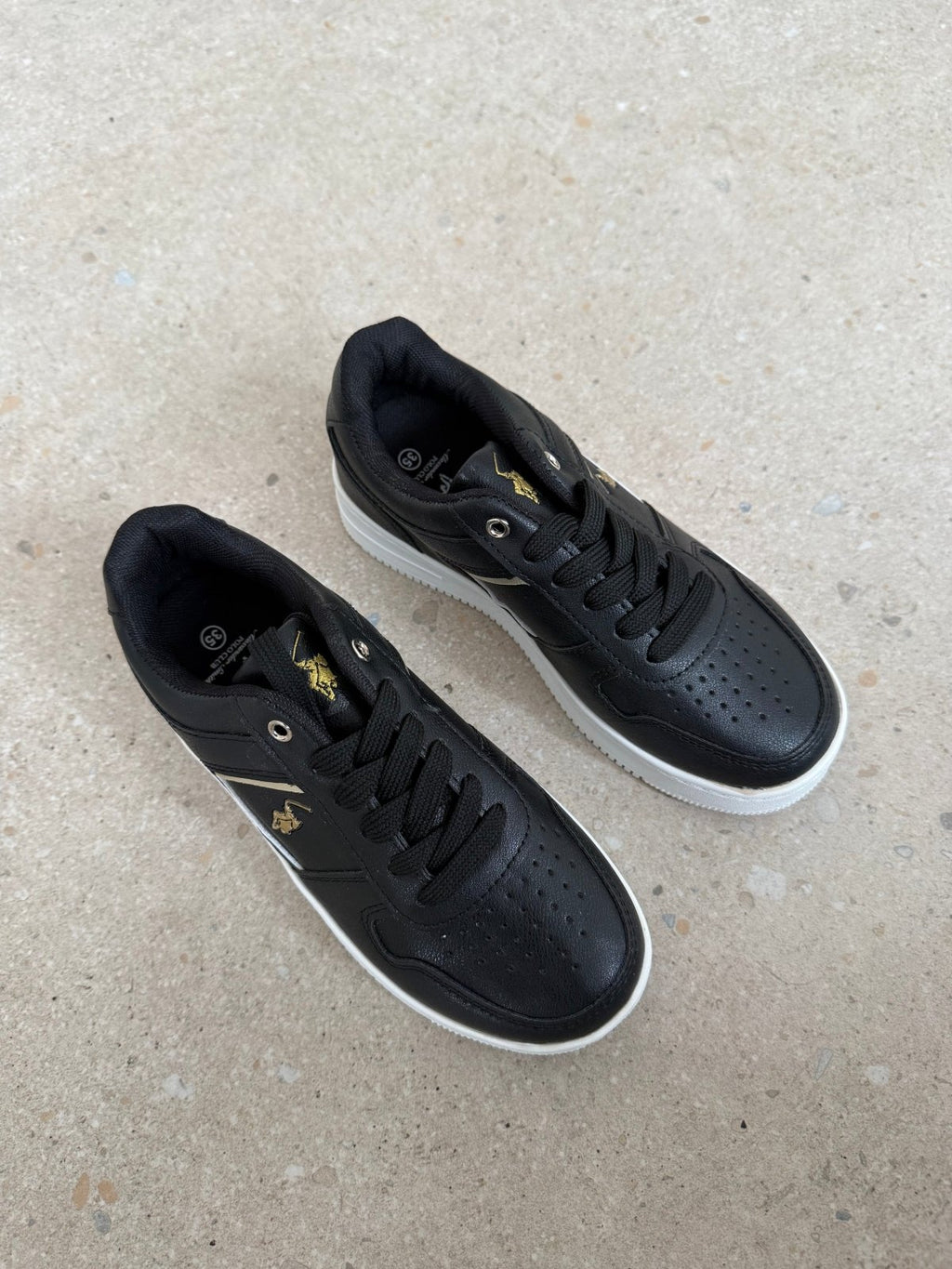 ASP-C003 BLACK GOLD 14855 - Calzado 365