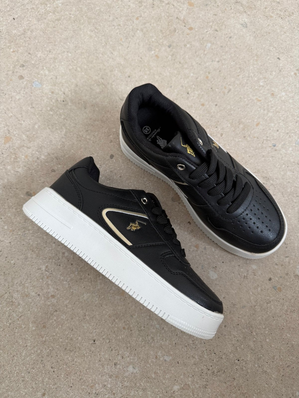 ASP-C003 BLACK GOLD 14855 - Calzado 365